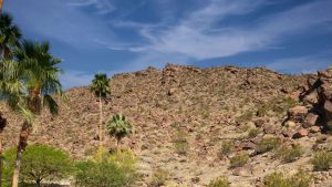 An Albert Frey and Hugh Kaptur Classic Rekindles in Palm Springs