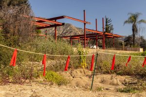 Topophyla wins competition looking for strategies to safeguard building and construction employees from ICE