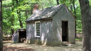 Thoreau, Social Justice, and the Scientific Approach