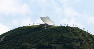 studio RE+N’s floating structure hovers like a thin white wing above chinese tea mountain