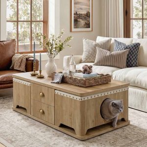 Pet-Friendly Home Design Done Right: 4 Concepts That Don’t Compromise Style