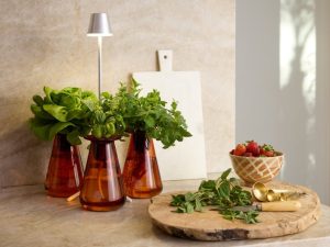The Hydroponic Garden That Finally Looks Great on Your Counter