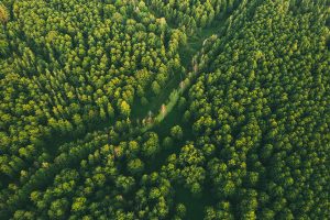How To Buy Land: Know What Concerns To Ask Before Making Your First Financial Investment
